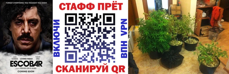 Какие есть наркотики Северодвинск Alpha-PVP Меф Псилоцибиновые грибы Каннабис Амфетамин