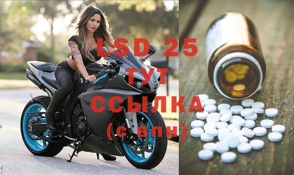 стафф Нефтегорск