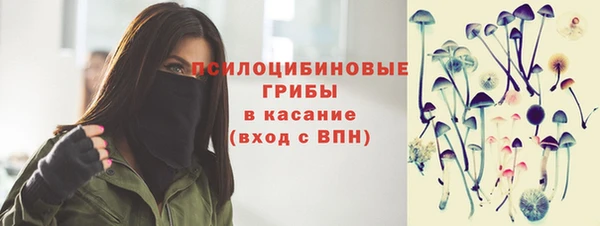 стафф Нефтегорск