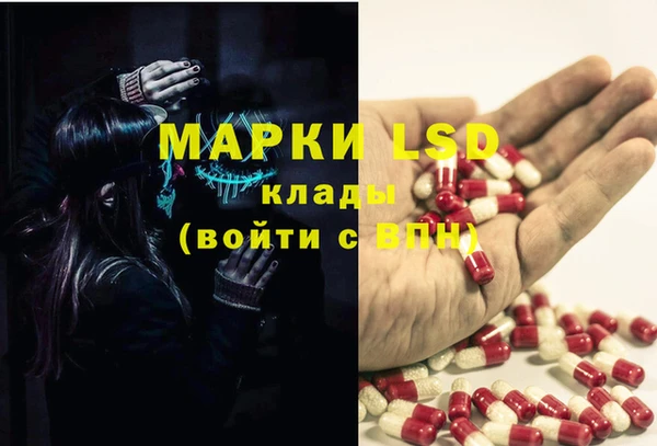 стафф Нефтегорск