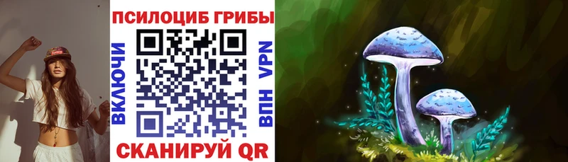 Галлюциногенные грибы Magic Shrooms ссылка на мегу как зайти Северодвинск купить наркотик